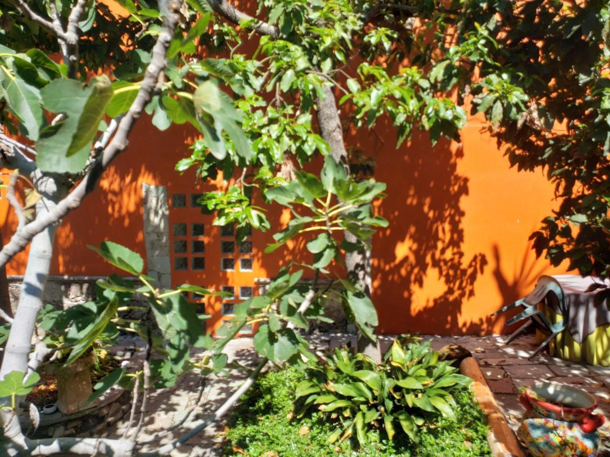 Ex Hacienda Apartment Guanajuato Ngoại thất bức ảnh