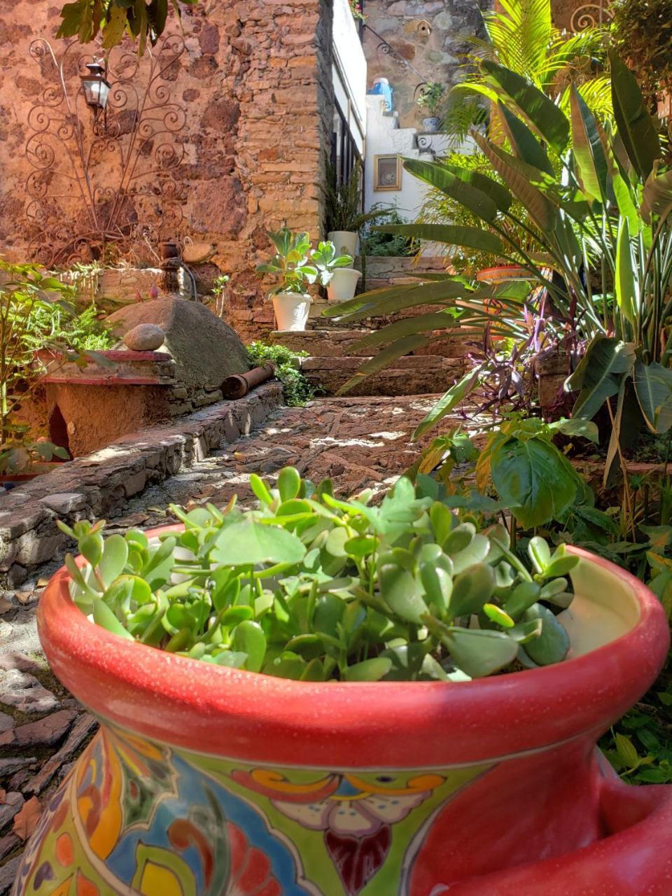 Ex Hacienda Apartment Guanajuato Phòng bức ảnh
